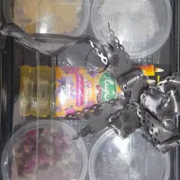 بسته های عرض تسلیت