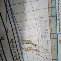 گوشواره به قیمت تابلو