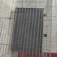 قفس|لوازم جانبی حیوانات|قم, نیروگاه|دیوار