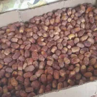 قصب درجه یک عالی|خوردنی و آشامیدنی|وحدتیه, |دیوار