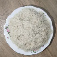 برنج فجر سوزنی ۹۰ روزه|عمده‌فروشی|سرخنکلاته, |دیوار
