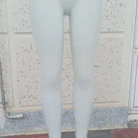 مانکن و رگال