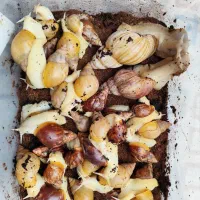 حلزون اچاتیا البینو مولد