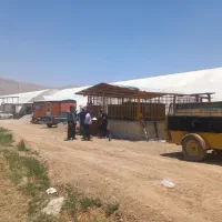 اجاره کمپرسور هوا وپیکوربرقی تخریب بتن وحفاری|ماشین‌آلات صنعتی|بروجن, |دیوار