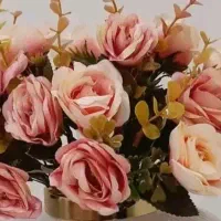 مداح اهل بیت(خانم)