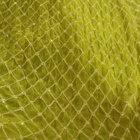 نیم بوت،شال مخمل،کراس و که وای مجلسی|کیف، کفش، کمربند|جوانرود, |دیوار