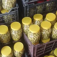 فروش انواع ترشیجات ارگانیک