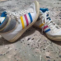 کتانی آدیداس و پوما اصل|کیف، کفش، کمربند|نسیم‌شهر, |دیوار