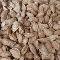 بادام پوست کاغذی(محب)