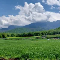 باغ آماده ۵۷۴ متر شموشک بالا(قیمت مناسب)|فروش زمین و ملک کلنگی|گرگان, |دیوار