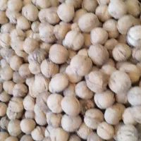 فروش گردو