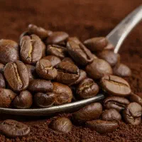 شرکت قهوه کارگرساده و حراست با جای خواب غذا