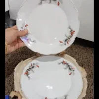 پلویی نونو گل کاجی هر شش تایی 800