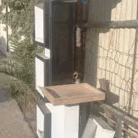 دکور مغازه|بوفه، ویترین، کنسول|تهران, شوش (باغ آذری)|دیوار