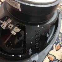 کفش|کیف، کفش، کمربند|سبزوار, امام خمینی (ناوی)|دیوار