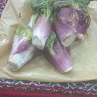 ۱۲۰کیلو بژ تازه چید