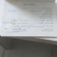 دو عدد سگ میکس سیبرین هاسکی نر|سگ|کرج, شهرک نهال و بذر|دیوار