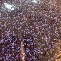 نگین جیکو اصل (استوک)