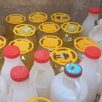 فروش دبه|ظروف نگهدارنده، پلاستیکی، یکبارمصرف|مریوان, |دیوار