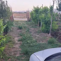 باغچه-500-متری