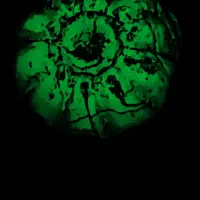 جواهرات . زمرد|جواهرات|اصفهان, شاهد|دیوار