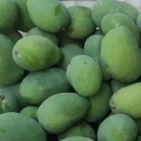 انبه بدون استخوان