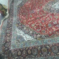 فرش|فرش|نیشابور, میدون بار|دیوار