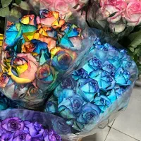 گل رز طبیعی|گل و گیاه طبیعی|یزد, |دیوار