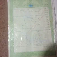 سند کرایه ای برا ضامن وام یا آزادی زندانی