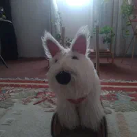 سرگرمی|اسباببازی بچه|نسیمشهر, |دیوار