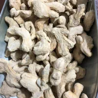فروش عمده زنجبیل قلم، پودر و روغن زنجبیل درجه یک|عمده‌فروشی|ری, منصوریه منگل|دیوار