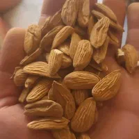 عمده فروشی|خوردنی و آشامیدنی|زاینده رود, |دیوار