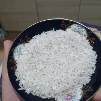 برنج هاشمی درجه یک آستانه به شرط