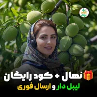 فروش نهال بادام تونو ضمانتی و دارای لیبل اختصاصی