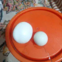 سنگ اسیاب|کلکسیون اشیاء عتیقه|دماوند, دماوند|دیوار