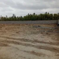 زمین باغ ویلایی معتبر باسند مادر زیرفی قیمت منطقه