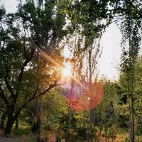 مشاوره و برنامه‌ریزی درسی