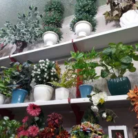 کادوی روزمادروروز زن درکنارشماییم|فعالیت داوطلبانه|شوشتر, |دیوار