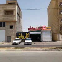 کارواشکار ماهر