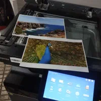 کپی رنگی توشیبا 300.2505.3505|پرینتر، اسکنر، کپی، فکس|قم, جهان بینی|دیوار