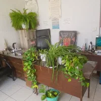 استخدام منشی با حقوق ثابت در دفتر املاک فاز ۲ صدرا
