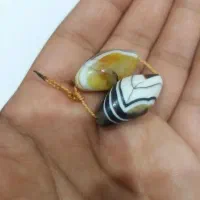 انواع فال و طالع بینی برد گبری|خدمات پذیرایی، مراسم|بندر گناوه, |دیوار