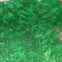 گیرین وال|گل مصنوعی|اندیشه, اندیشه فاز ۱|دیوار