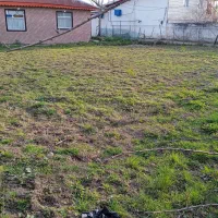 فروش زمین|فروش زمین و ملک کلنگی|ضیابر, |دیوار