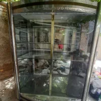 ویترین شیرینی پزی قنادی