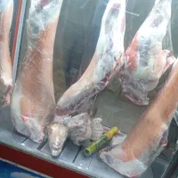 عامل توزیع گوشت قرمز خورشتی۹۰۰