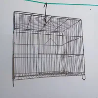 قفس پرنده عروس هلندی وسره بفروش میرسد|لوازم جانبی حیوانات|مشکیندشت, |دیوار