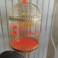 قفس و لوازم پرنده و جفتگاه