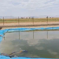 فروش زمین باغی با سند|فروش زمین و ملک کلنگی|اصفهان, قهجاورستان|دیوار