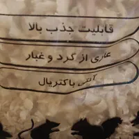 همستر بازی گوش با وسایل با قیمتی باور نکردنی|موش و خرگوش|کرج, کرج نو|دیوار
